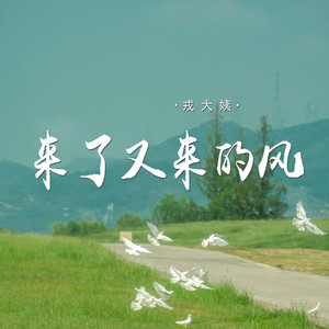 戎大姨 - 来了又走的风 (伤感版)