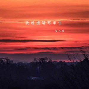 我若提笔写半生