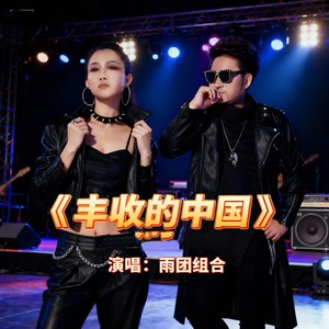 丰收的中国 (新版)