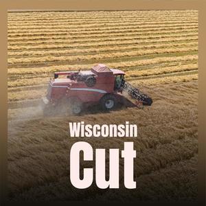 Wisconsin Cut