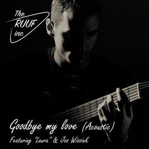 Goodbye my Love (Acoustic)