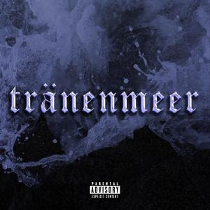 tränenmeer (feat. Trappinger)