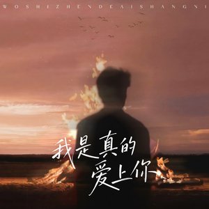 我是真的爱上你