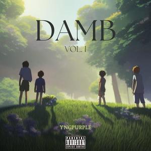 DAMB (Explicit)