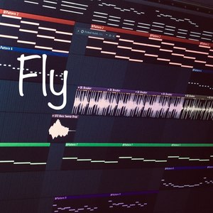 Fly