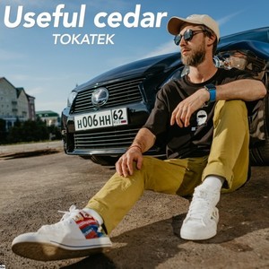 Usiful Cedar (Original Mix)