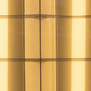 The Mermaid’s Sorrow