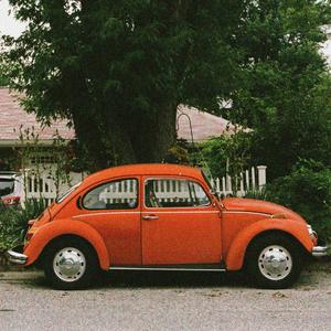 Red Beetle
