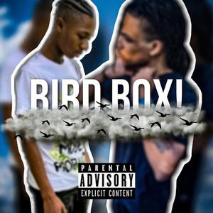 Bird Box! (Explicit)