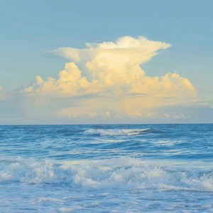 大头针 Official - 亲爱的，那不是爱情