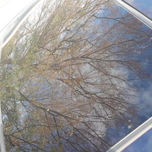 Stepped up (Explicit)