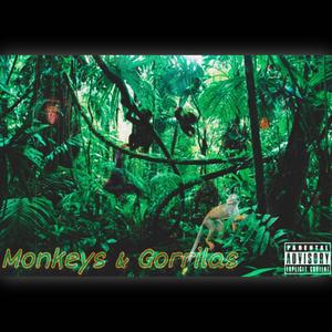 Monkeys & Gorrilas (feat. I.D.K OF DK) (Explicit)