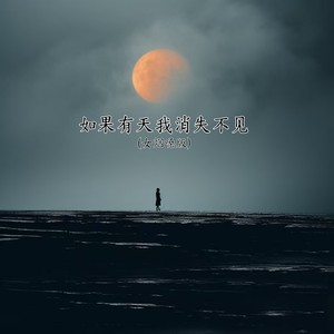 如果有天我消失不见 (女烟嗓版)