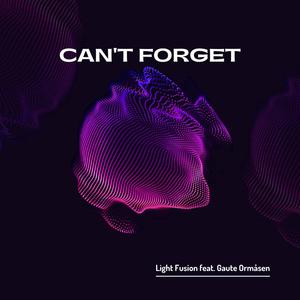 Can't Forget (feat. Gaute Ormåsen)