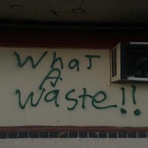 what a waste