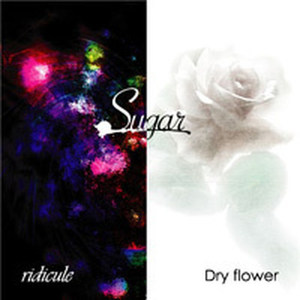 ridicule/Dry flower