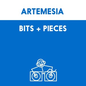 Bits + Pieces (BK Remix)