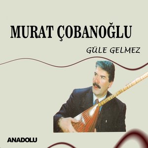 Güle Gelmez