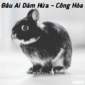 Đâu Ai Dám Hứa (Remix)