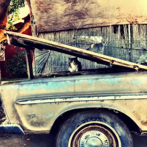 Fight Club (2025 Redux)