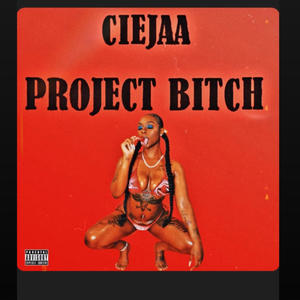 PROJECT ***** (Explicit)