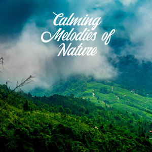 Calming Melodies of Nature - Music That'll Help You Calm Down, Relax and Soothe, Relieve Stress, Fatigue and Weariness, Helps Regenerate Your Strength and Regain Inner Harmony