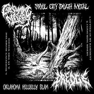 HILLBILLY STEEL SPLIT w/ Consuming Misery (Explicit)