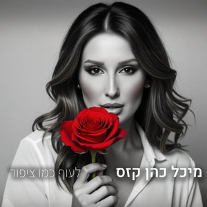 לעוף כמו ציפור