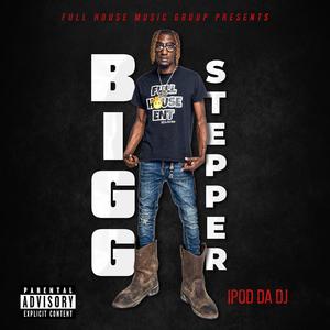 BiGG STEPPER (Explicit)