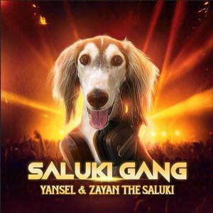 Saluki Gang (feat. Zayan The Saluki) (Explicit)