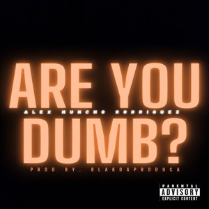 Are You Dumb? (Explicit)