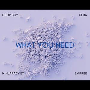 What You Need (feat. Cera, NinjaRacy E.T. & Empree nlm)