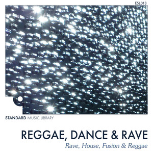 Reggae, Dance & Rave - 1990s