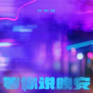 等你说晚安