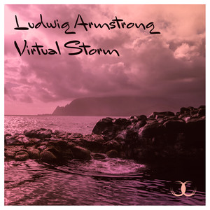 Virtual Storm