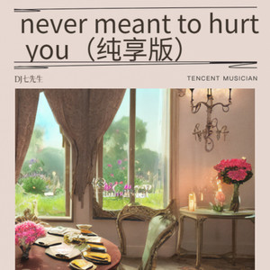 DJ七先生 - never meant to hurt you (纯享版)