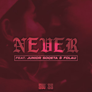 Never (Remix)