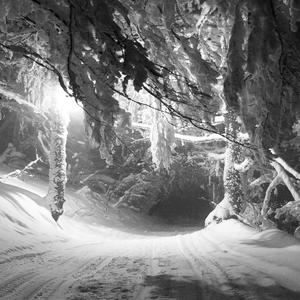 Neva (feat. LUCAMONTANA) (Explicit)