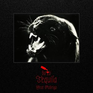 Tequila (feat. Rodrigo) [Explicit]