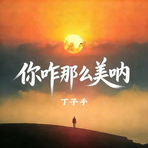 你咋那么美呐 (对唱版)