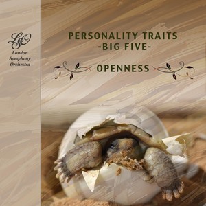 Personality Traits (Big Five): Openness