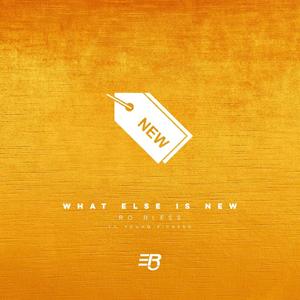 What Else Is New (feat. Young Picasso) [Explicit]