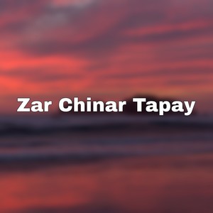 Zar Chinar Tapay