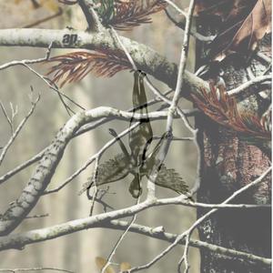 sin berre (feat. bernaldo) (Explicit)