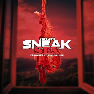 Sneak Sex (Explicit)