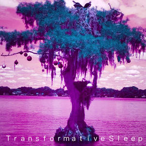 The Great Sleep Transformation (feat. The KLF)