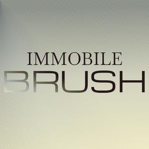 Immobile Brush