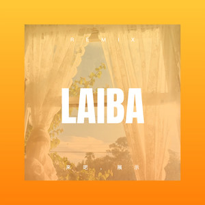 我未能 忘掉你 (DJ版)