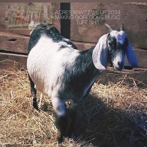 fall asleep (feat. acres18) (Explicit)