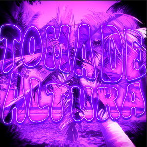 TOMA DE ALTURA (Ultra Slowed + Reverb)